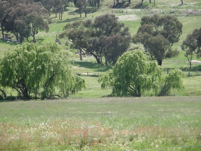 55 Mt Rankin Road, Bathurst NSW 2795