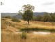 Meadow Flat NSW 2795