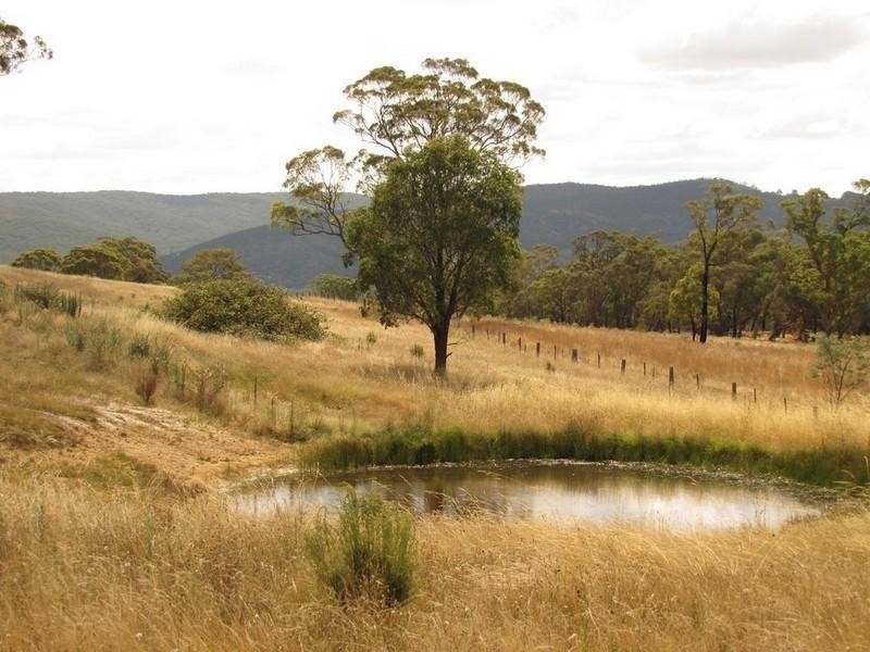 Meadow Flat NSW 2795