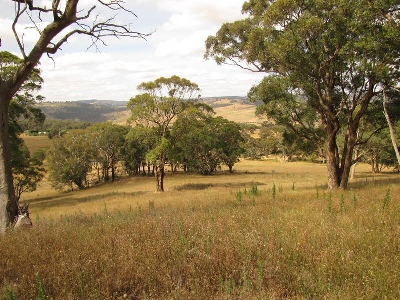 Meadow Flat NSW 2795