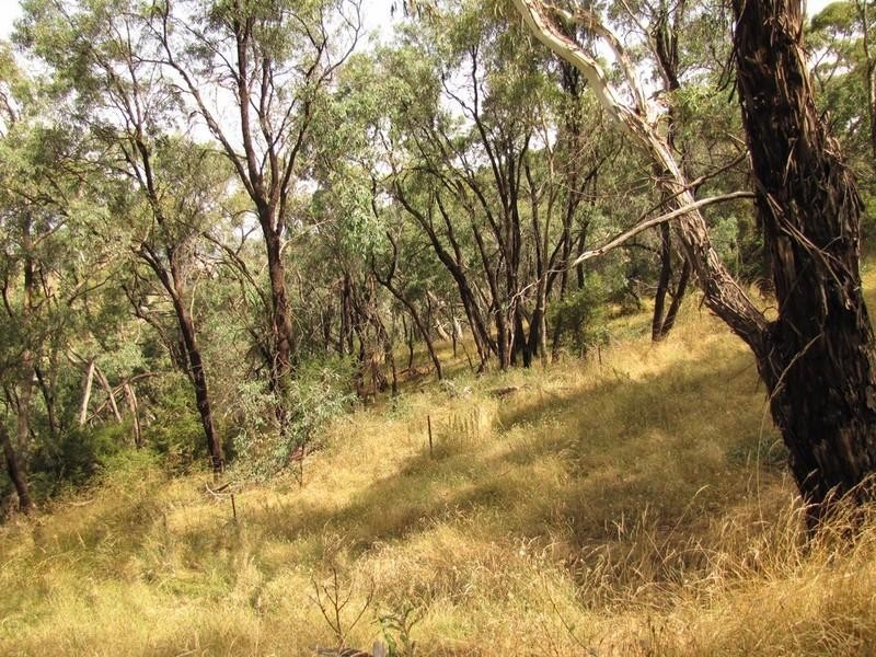 Meadow Flat NSW 2795