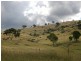 Bathurst NSW 2795