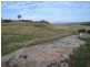 Mount Rankin NSW 2795