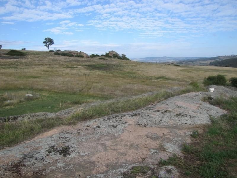Mount Rankin NSW 2795