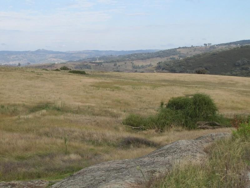 Mount Rankin NSW 2795
