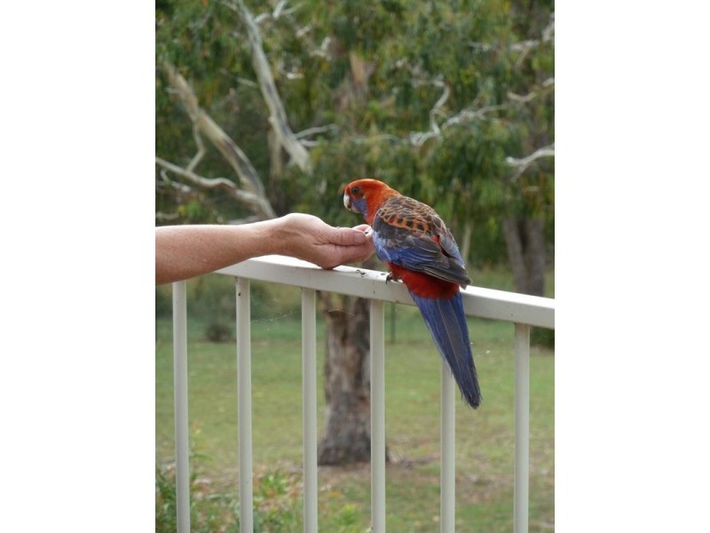 Bathurst NSW 2795