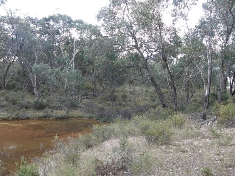 Turondale NSW 2795
