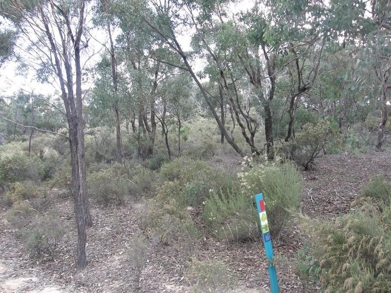 Turondale NSW 2795