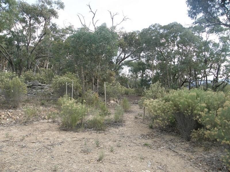 Turondale NSW 2795