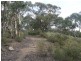 Turondale NSW 2795