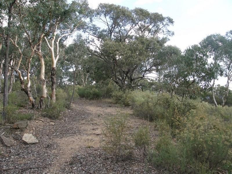 Turondale NSW 2795