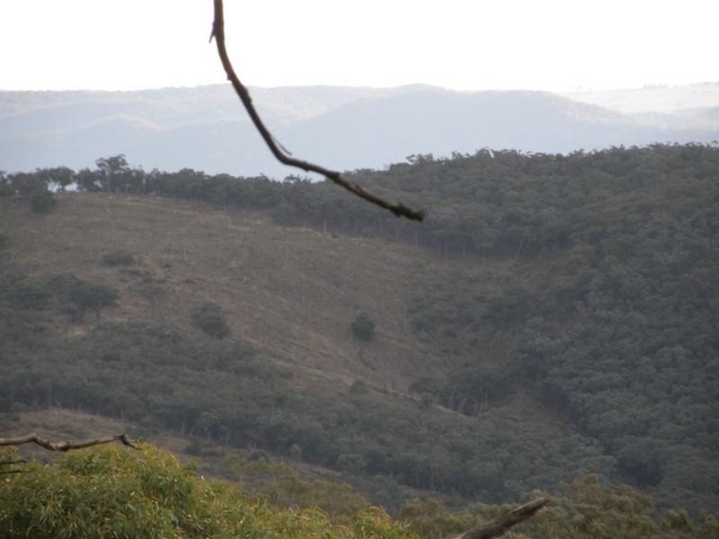 Turondale NSW 2795