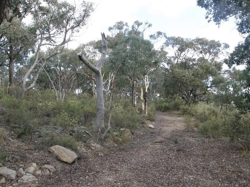 Turondale NSW 2795