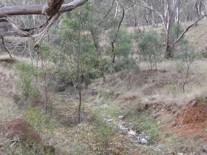 Sofala NSW 2795