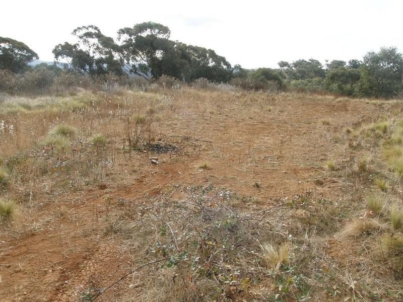 Sofala NSW 2795