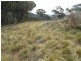 Sofala NSW 2795