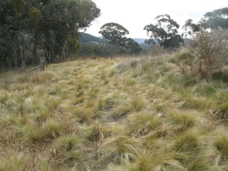 Sofala NSW 2795