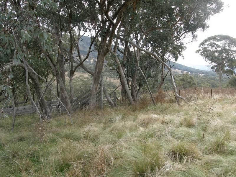 Sofala NSW 2795