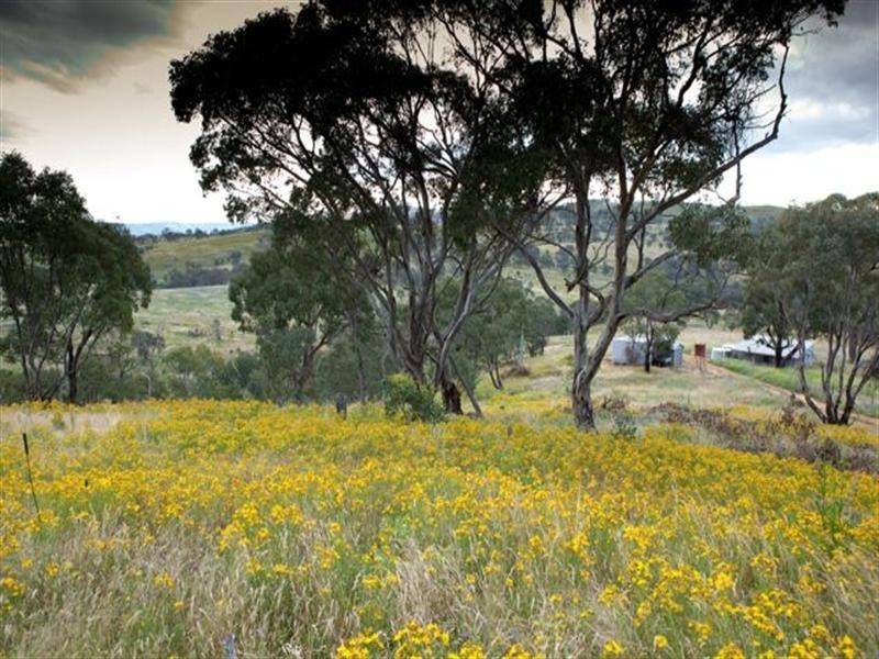 Bathurst NSW 2795