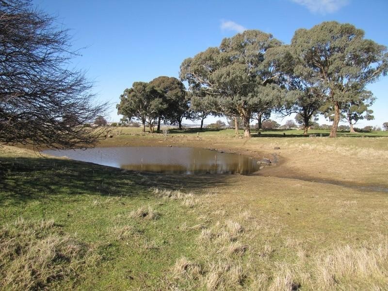 Millthorpe NSW 2798