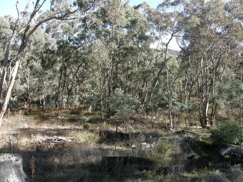 Yetholme NSW 2795