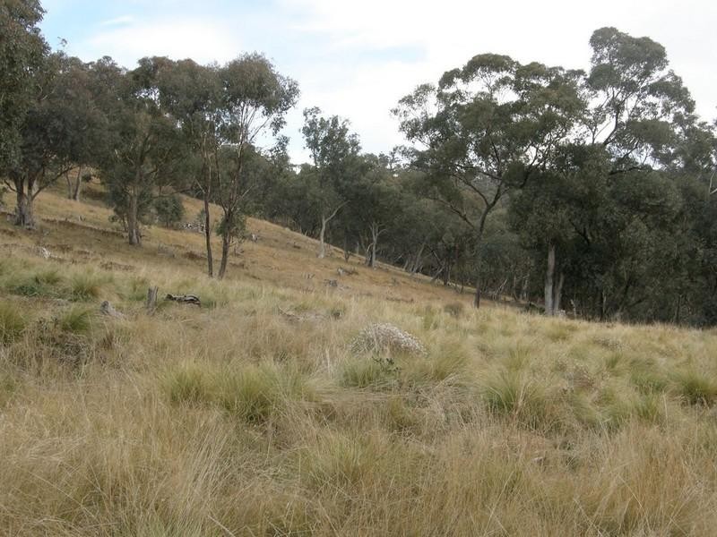 Bathurst NSW 2795