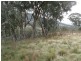 Bathurst NSW 2795
