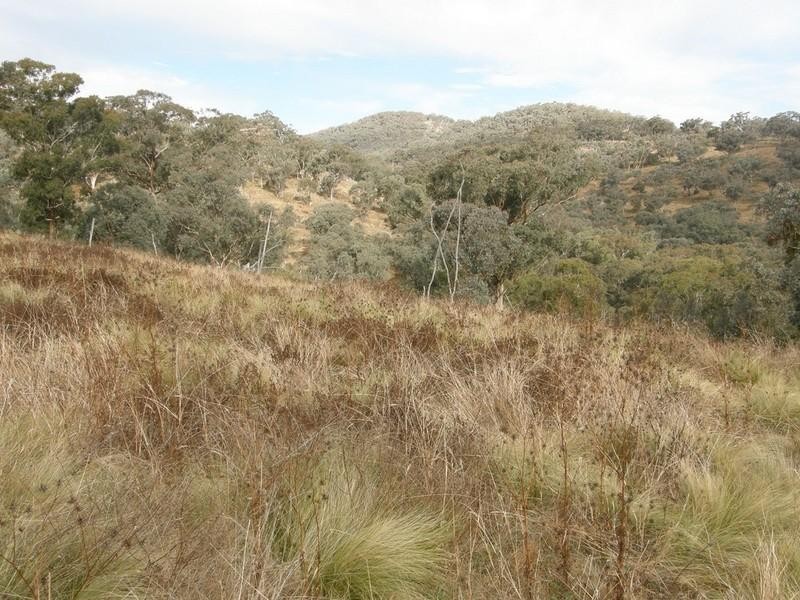 Bathurst NSW 2795
