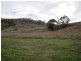 Tarana NSW 2787