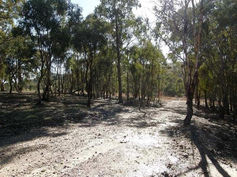 Bathurst NSW 2795