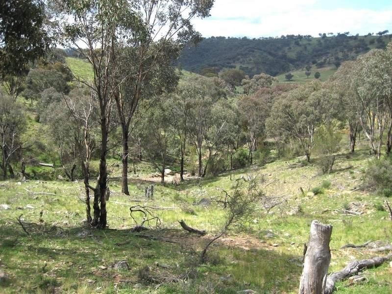 Bathurst NSW 2795