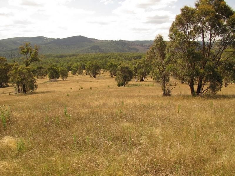 Meadow Flat NSW 2795