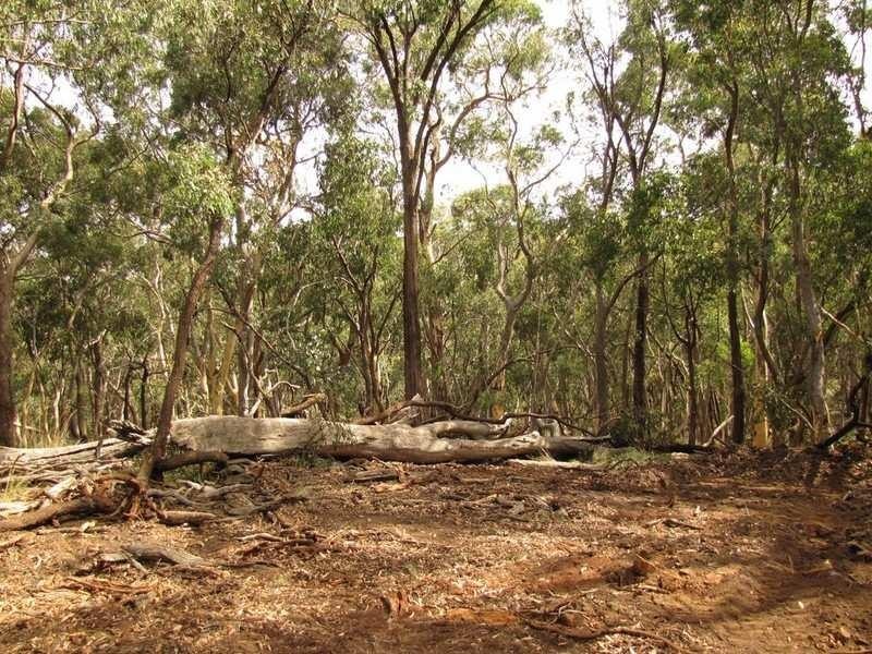 Meadow Flat NSW 2795