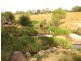 Meadow Flat NSW 2795