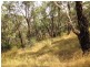 Meadow Flat NSW 2795