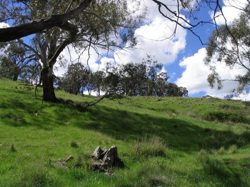 Wisemans Creek NSW 2795