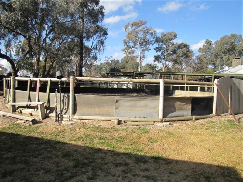 Forest Grove NSW 2795