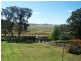 Newbridge NSW 2795