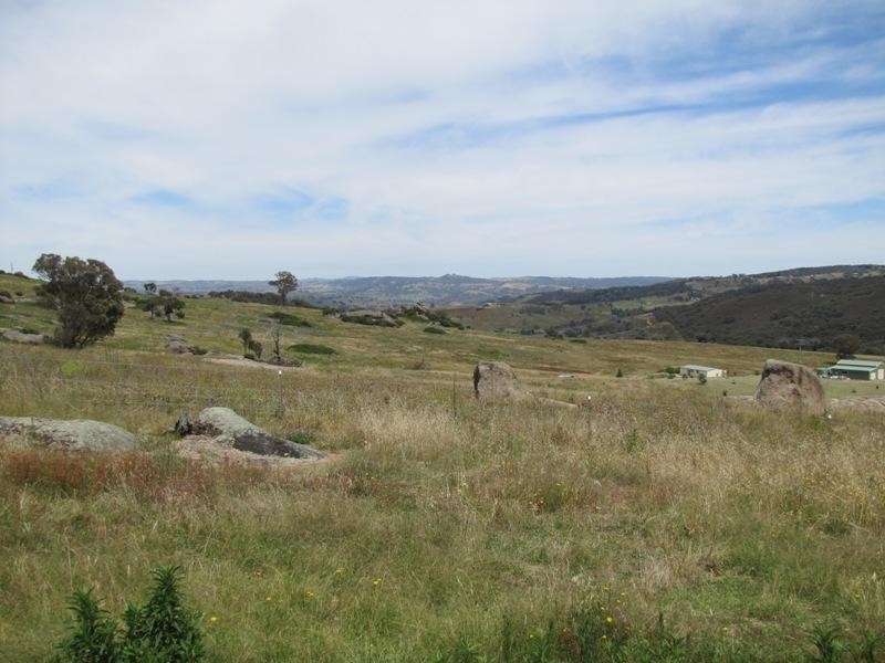 Mount Rankin NSW 2795