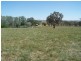 Bathurst NSW 2795