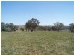 Bathurst NSW 2795