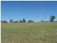 Bathurst NSW 2795