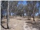 Bathurst NSW 2795