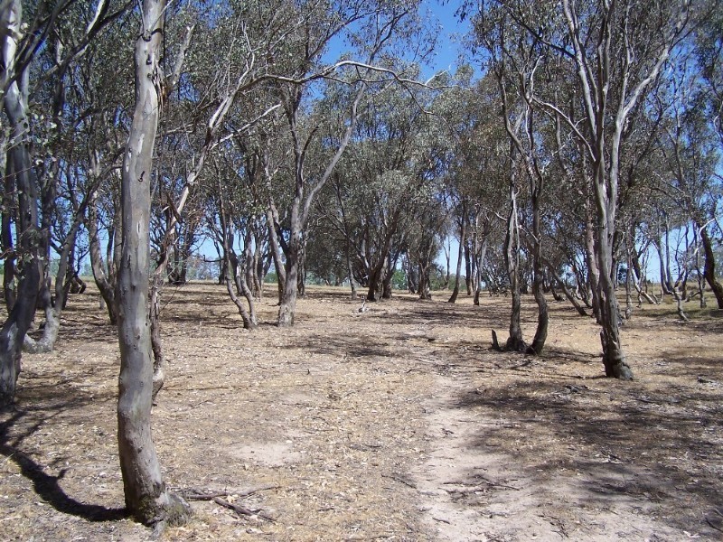 Bathurst NSW 2795