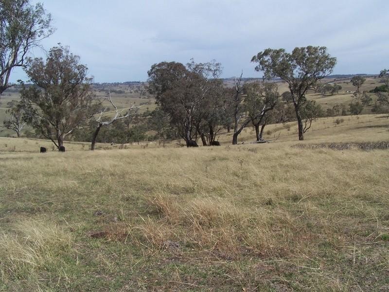 Bathurst NSW 2795