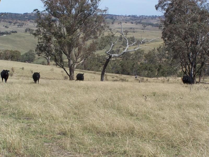 Bathurst NSW 2795
