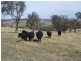Bathurst NSW 2795