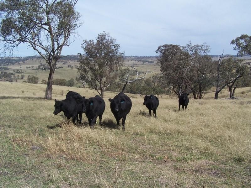 Bathurst NSW 2795