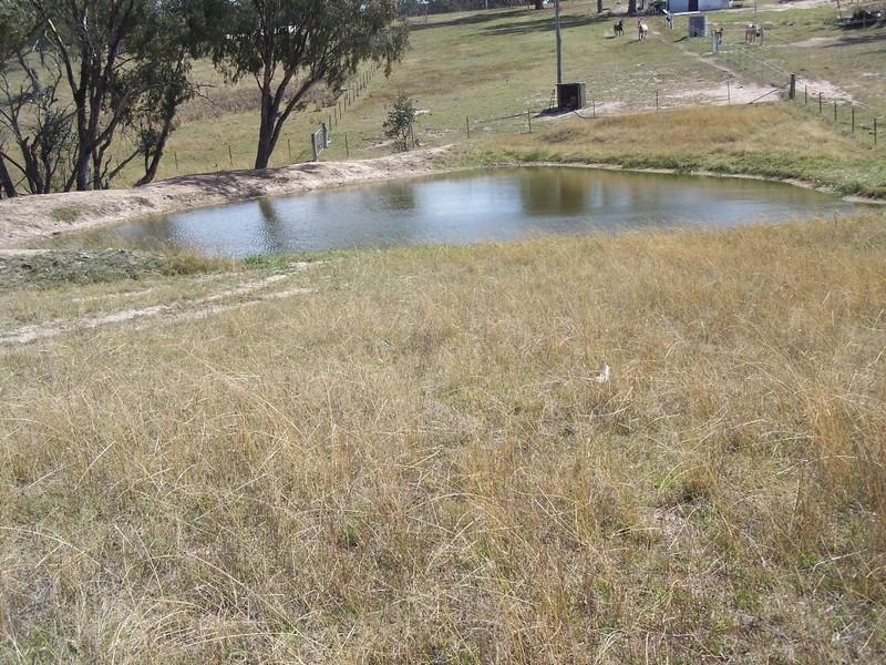 Bathurst NSW 2795