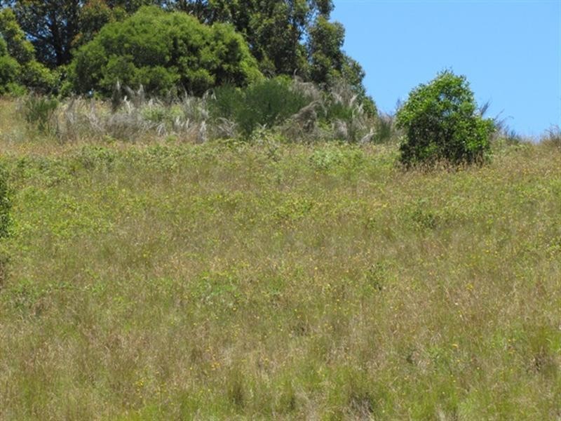 Bathurst NSW 2795